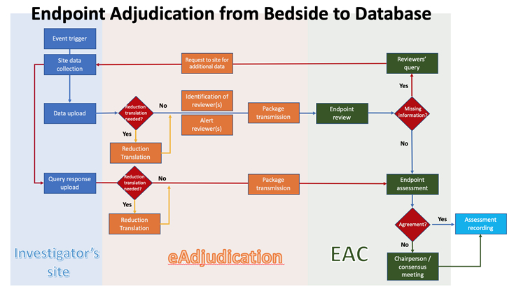 Endpoint Adjudication Process Flow with Ethical eAdjudication